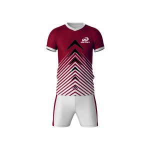 QS-0041